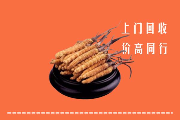 重庆市巫溪回收老洋酒