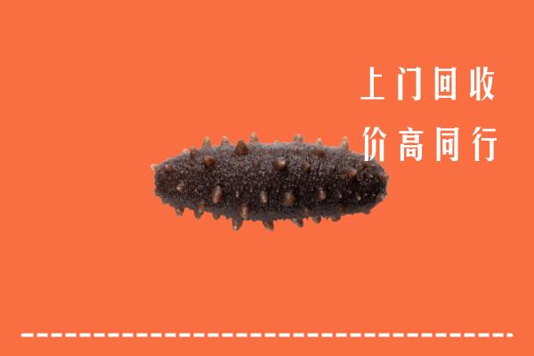 重庆市巫溪回收海参