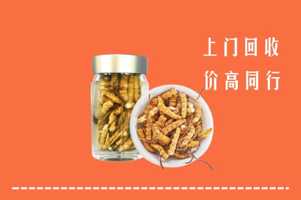 重庆市巫溪回收冬虫夏草